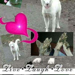 Meet your Posher, Jodi